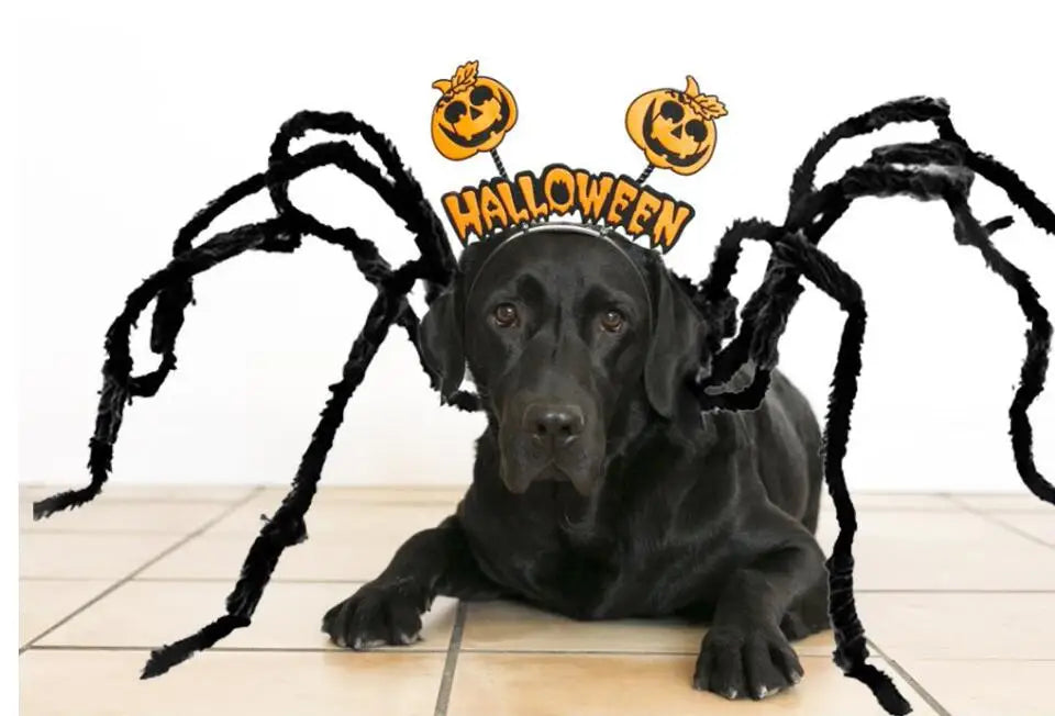 XS-XXL Black Spider Animals Cos for Dogs Halloween Cosplay Funny Scary Pets Purim Costumes Spider Cosplay Costume Party Props