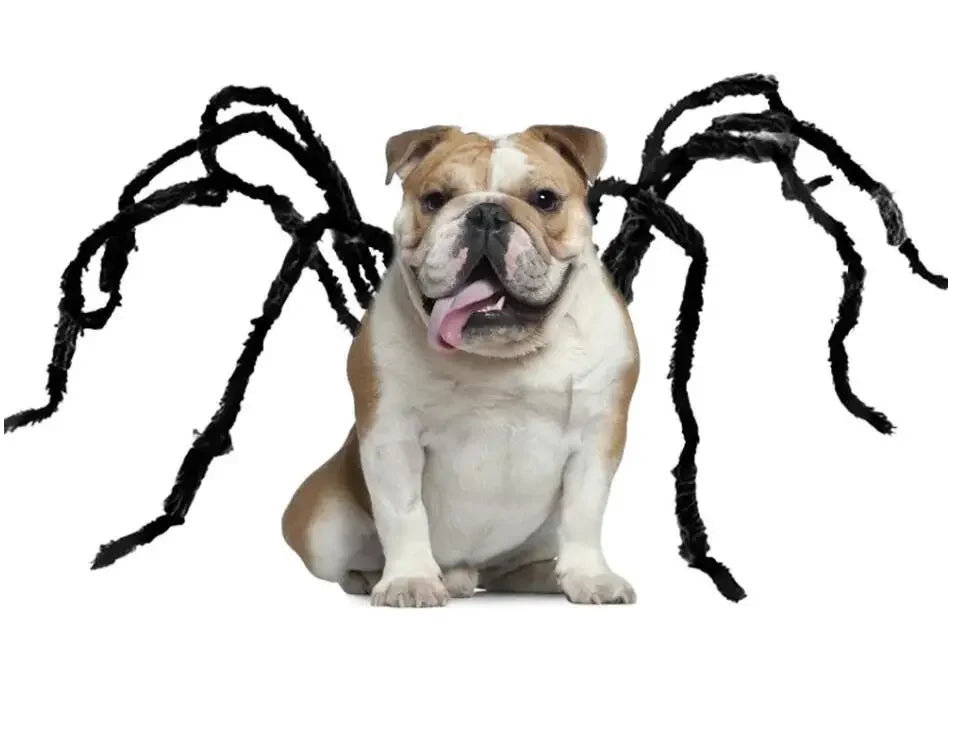 XS-XXL Black Spider Animals Cos for Dogs Halloween Cosplay Funny Scary Pets Purim Costumes Spider Cosplay Costume Party Props