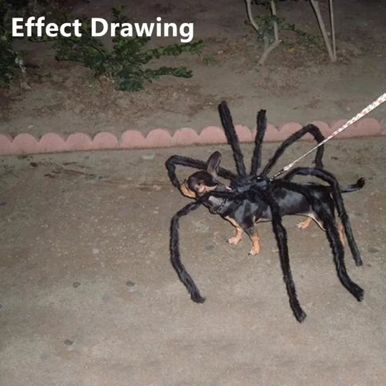 XS-XXL Black Spider Animals Cos for Dogs Halloween Cosplay Funny Scary Pets Purim Costumes Spider Cosplay Costume Party Props