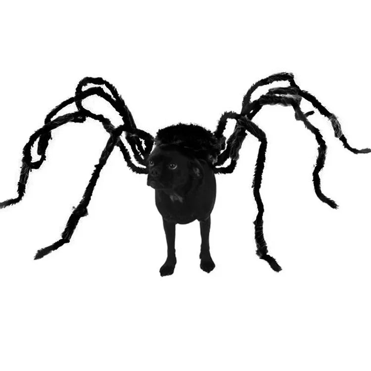 XS-XXL Black Spider Animals Cos for Dogs Halloween Cosplay Funny Scary Pets Purim Costumes Spider Cosplay Costume Party Props